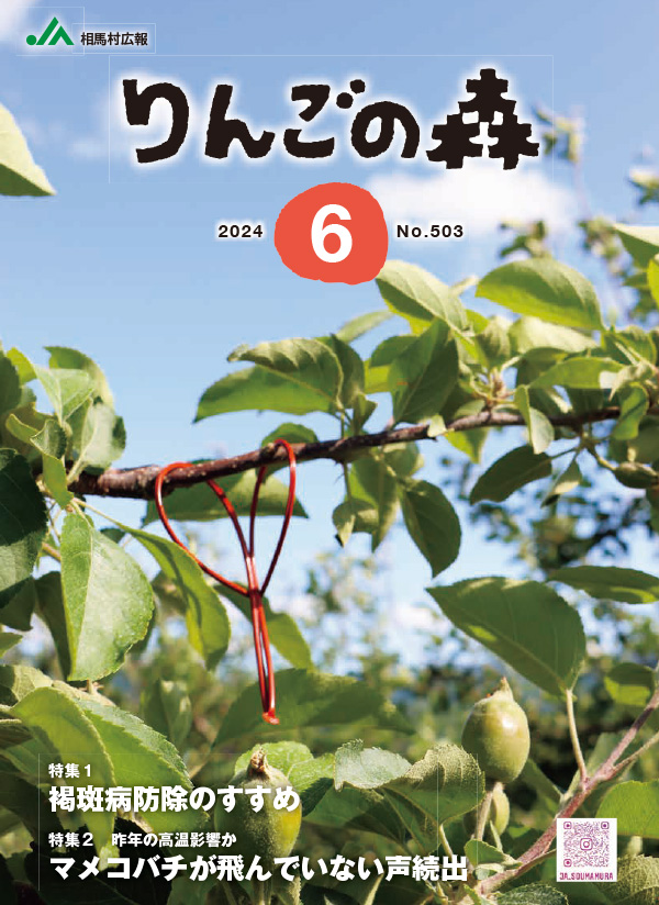 林檎の森　vol.503号